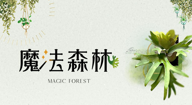 魔法森林 Magic Forest